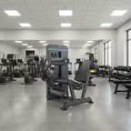 Commercial Leg Extension - Leg Curl Machine Dual Function