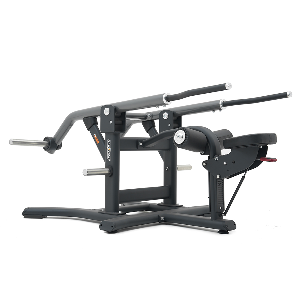 Insight Seated Dips Press Machine
