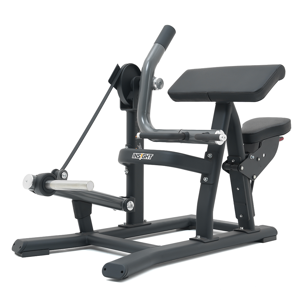 Insight Biceps Curl Machine