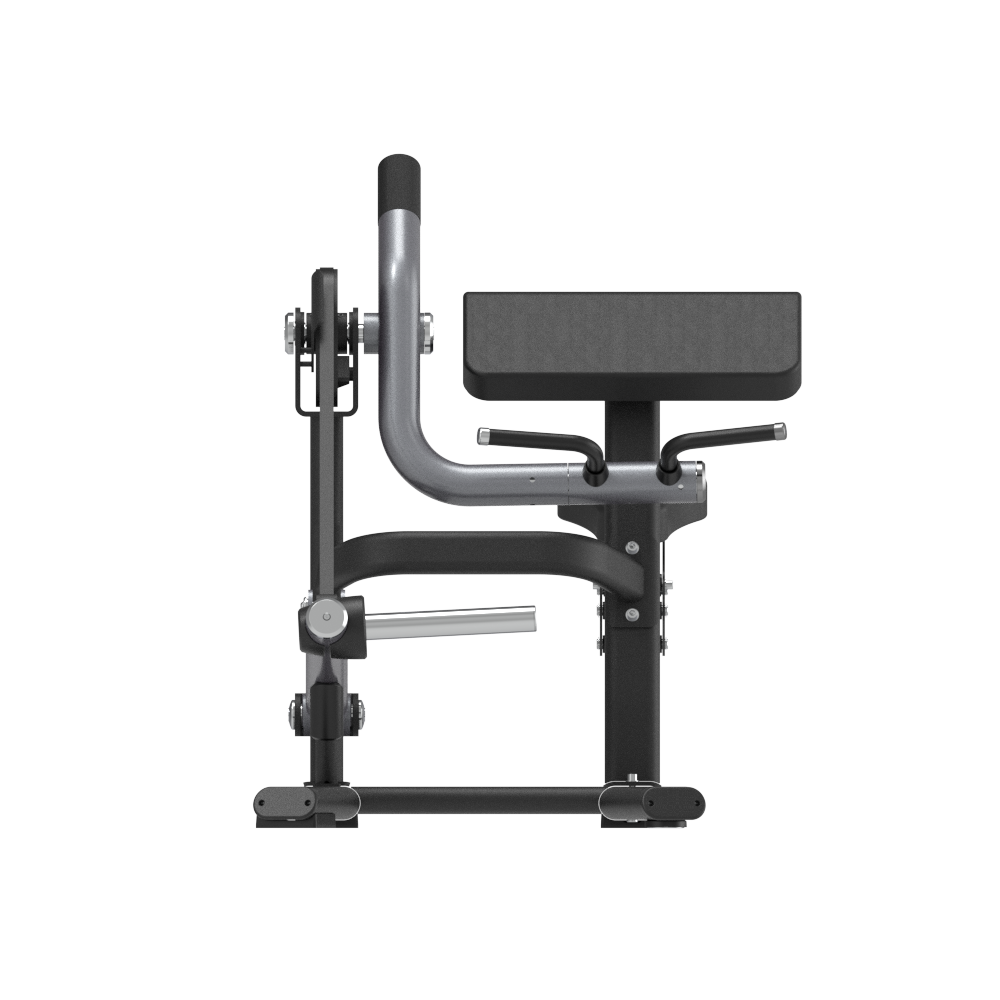 Insight Biceps Curl Machine