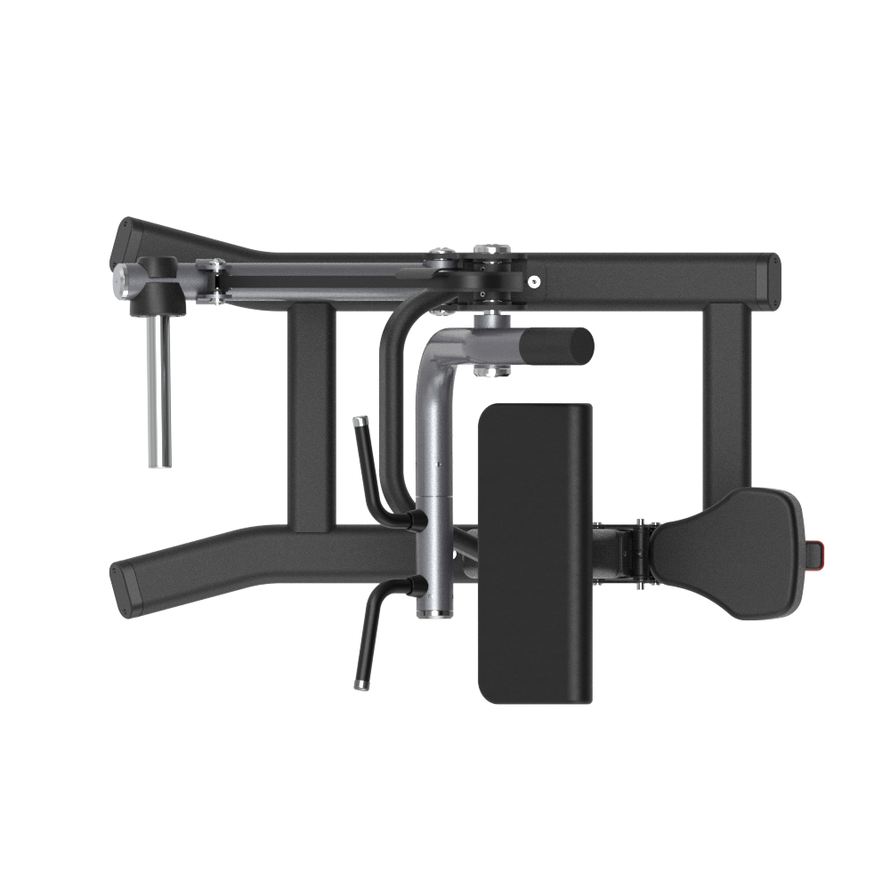 Insight Biceps Curl Machine