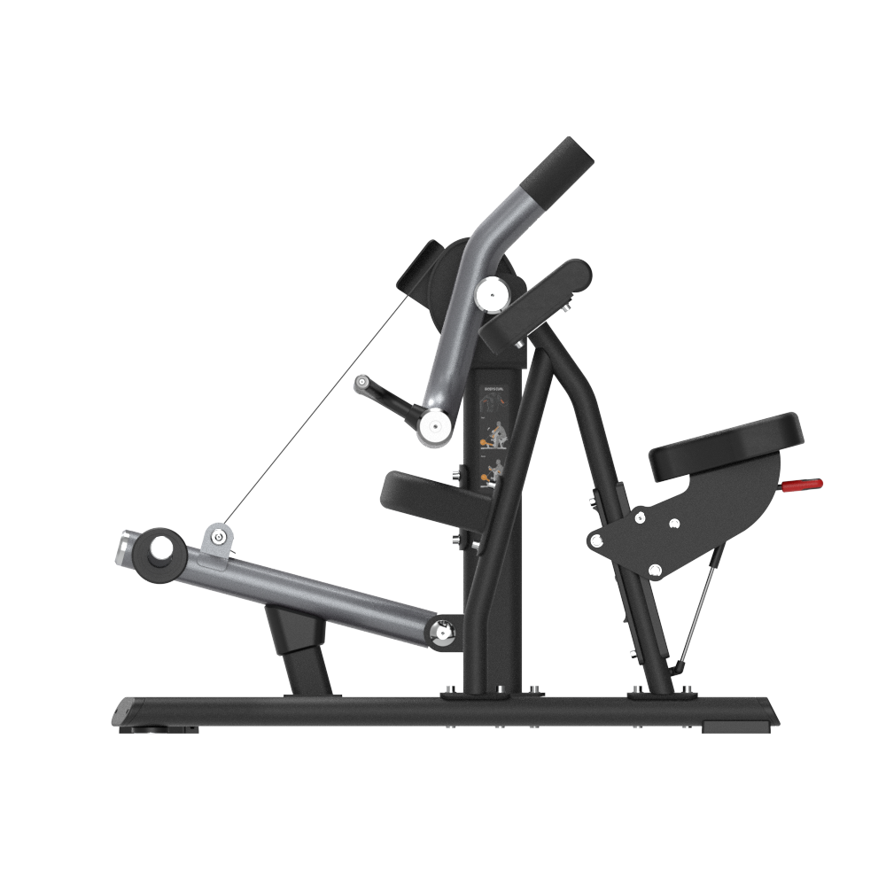 Insight Biceps Curl Machine