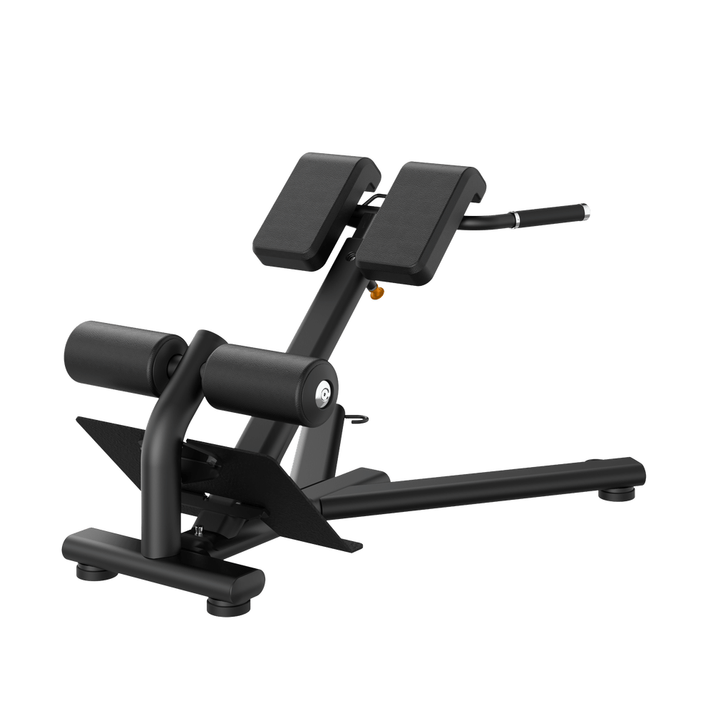 Insight_Commercial_Back_Extension_Bench