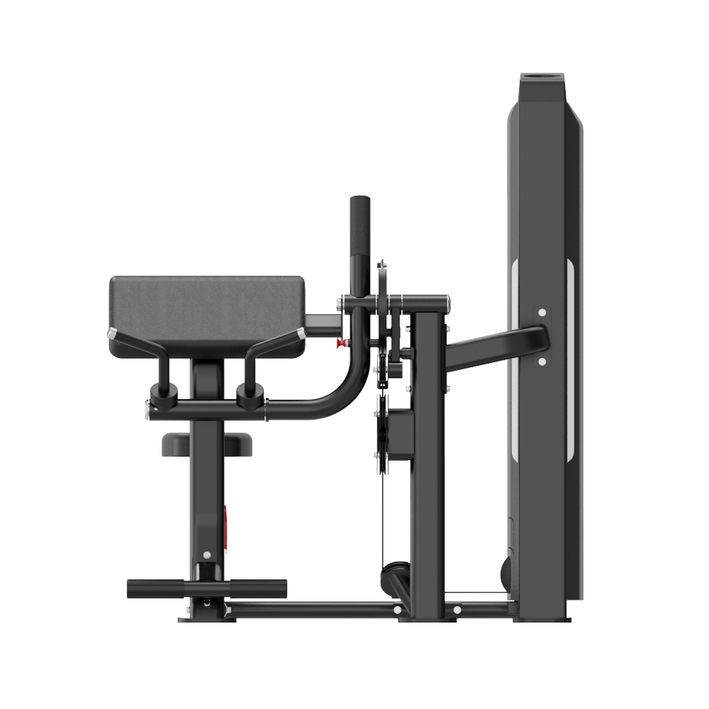 Insight Commercial Dual Function Bicep + Tricep Extension Machine