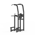 Insight_Commercial_Multi_Pull-Up_Dip_Rack_1