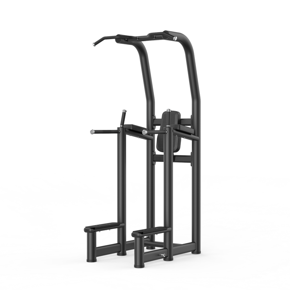 Insight_Commercial_Multi_Pull-Up_Dip_Rack_1