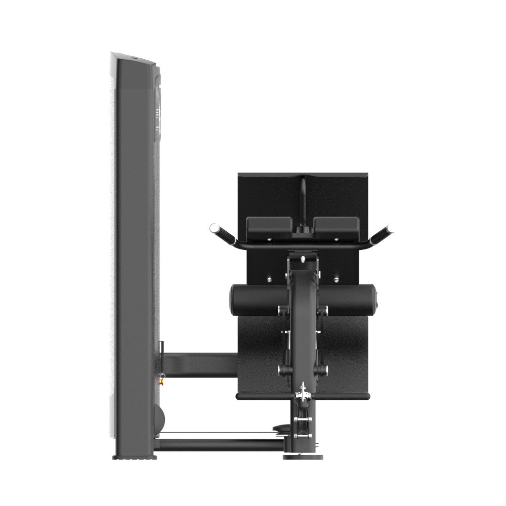 Insight_Mult-_Back_Extension_Rederine_Series_4