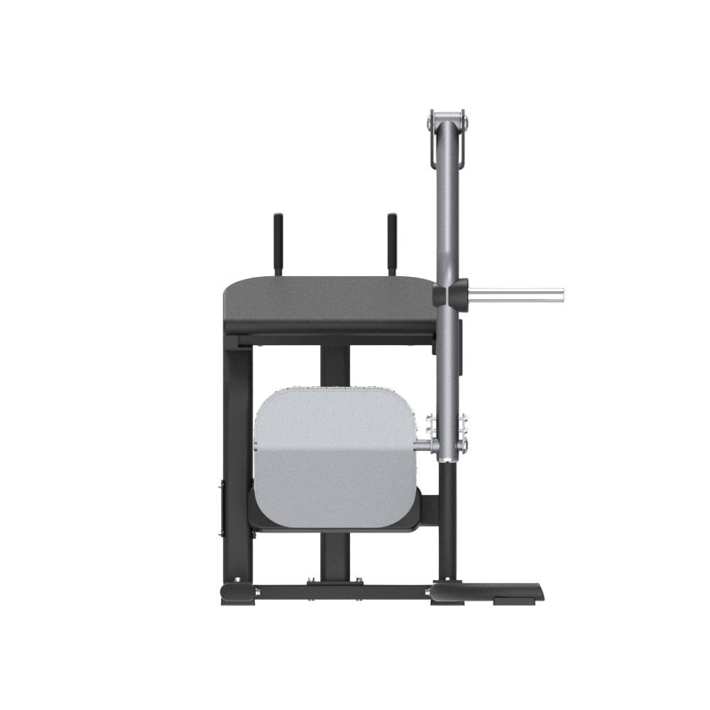 Insight_Rear_Kick_Machine_2