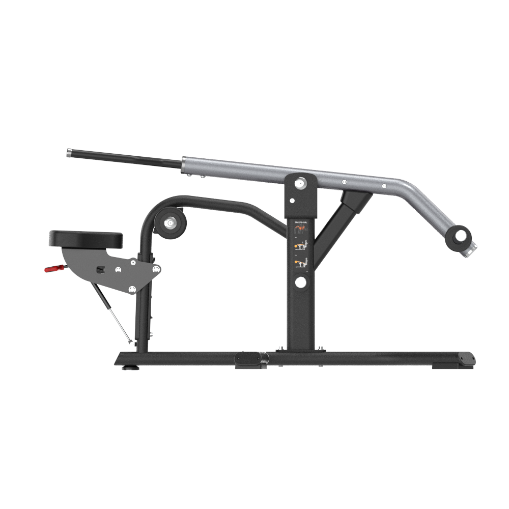 Insight Seated Dips Press Machine