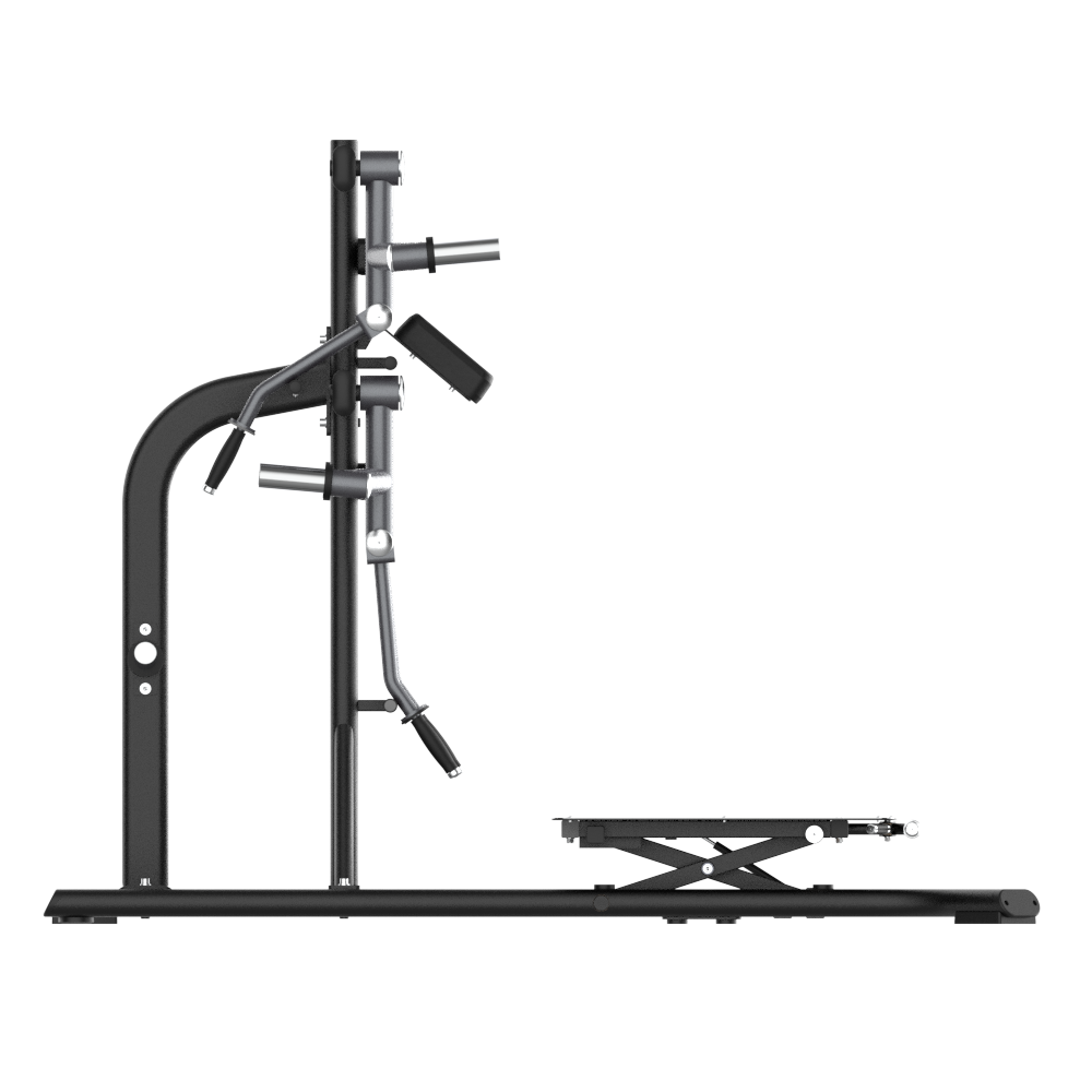Insight Standing Multi Flight Machine
