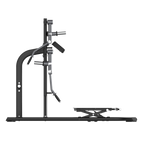 Insight Standing Multi Flight Machine