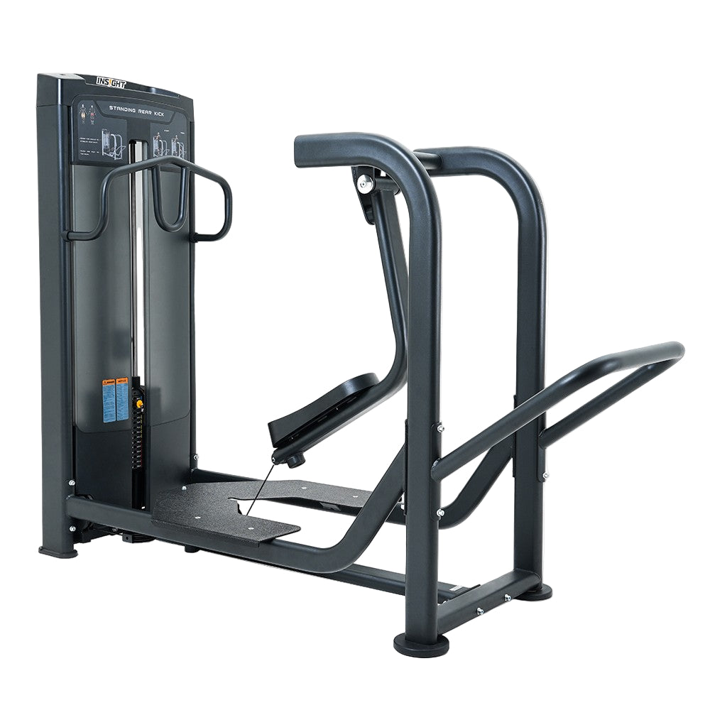Insight  Standing Rear Kick Rederine Series