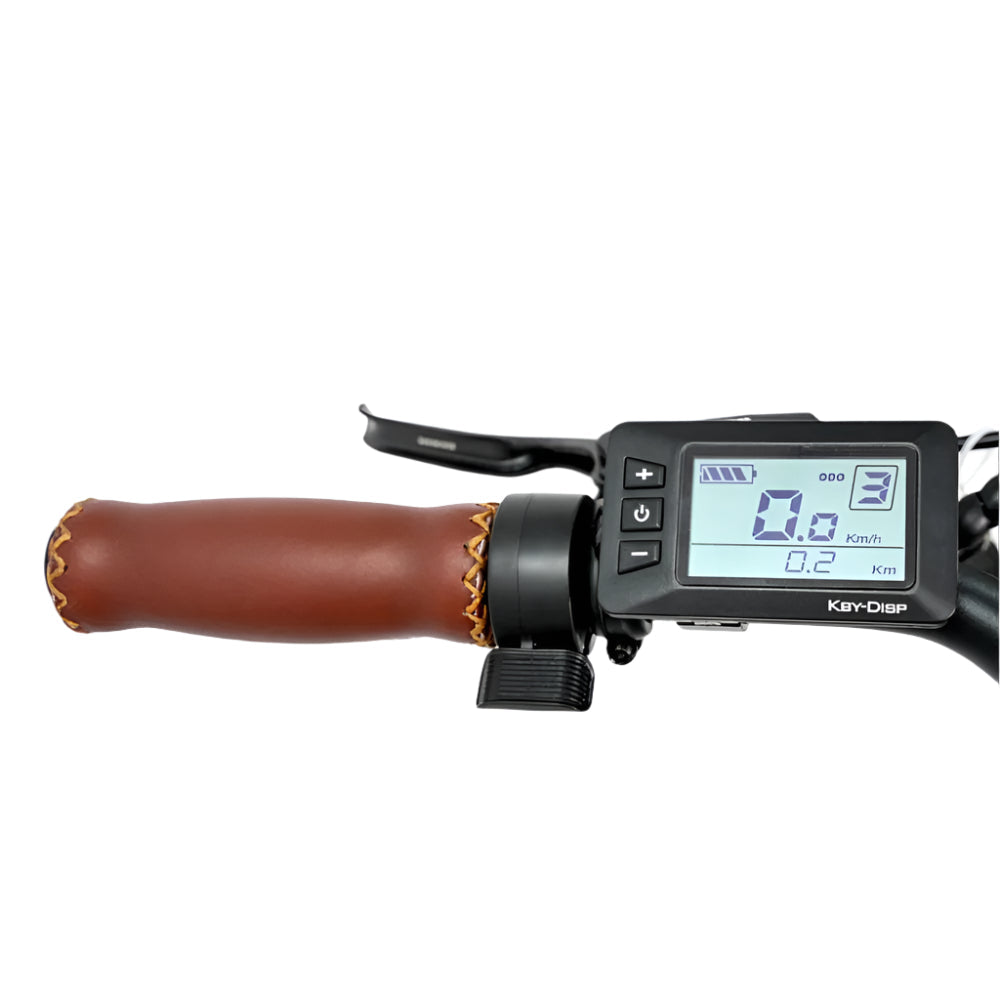 Olive Ladies' hybrid Bike