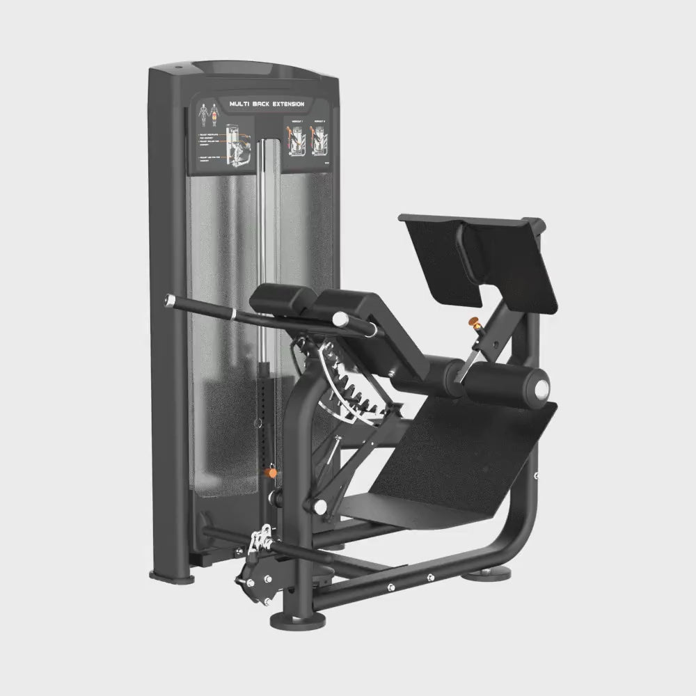 Insight Mult- Back Extension Rederine Series video