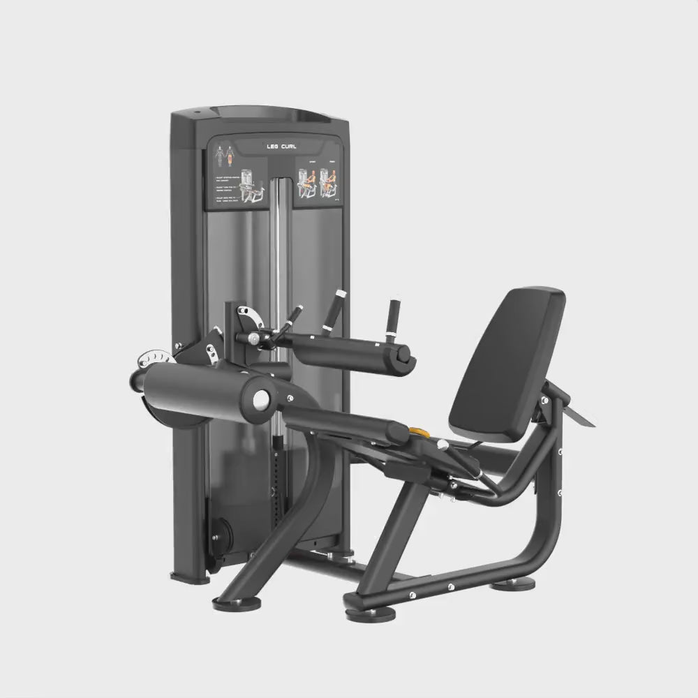 Insight Seated Leg Curl Rederine Series video
