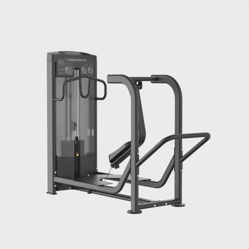 Insight Standing Rear Kick Rederine Series video