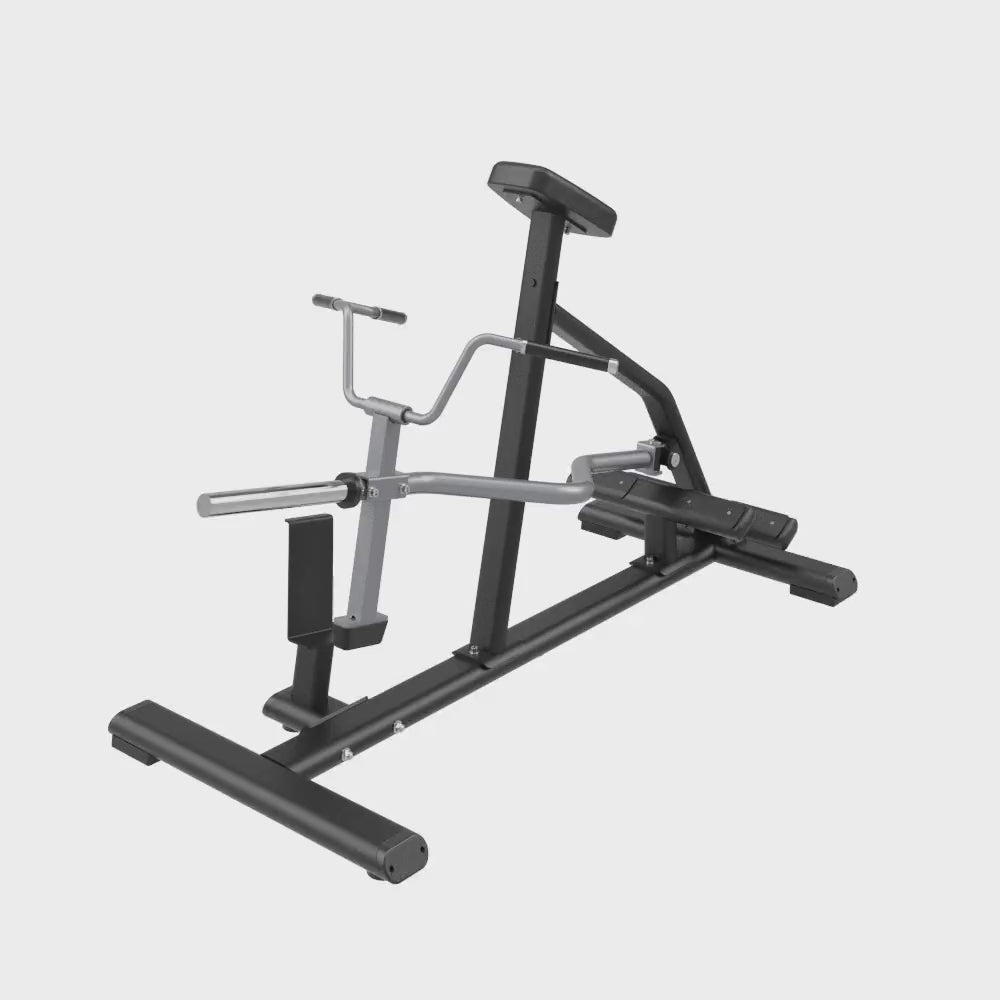 Insight T-Bar Row Machine video