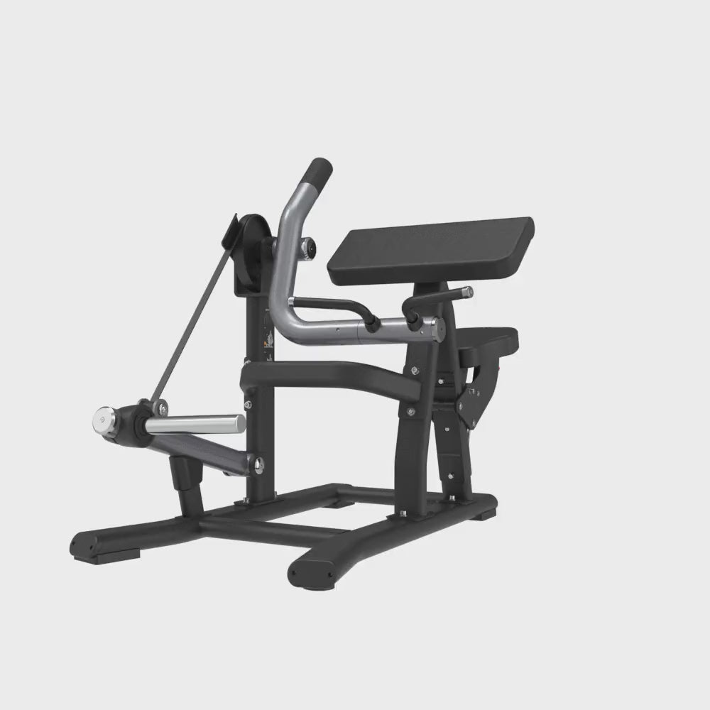 Insight Biceps Curl Machine