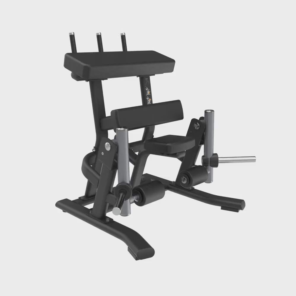 Insight Alternative Leg Curl Machine Video
