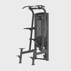 Insight Assisted Chin Dip Rederine Series video