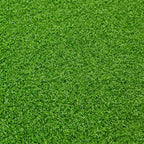 Sled Track 2m x 10m Astro Turf - Astro Turf For Gyms